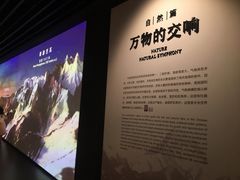 -四川大学博物馆