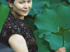 -合肥滨湖国家森林公园