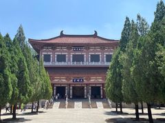 -龙口南山旅游景区