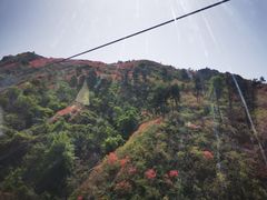 -木兰云雾山