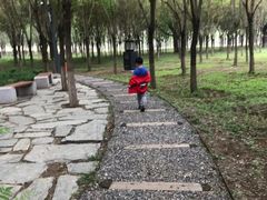 -东郊湿地公园