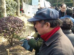 -人民公园-相亲角