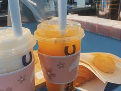 -春丽小马(济南恒隆广场店)
