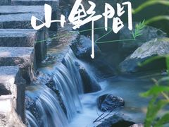 -广州白江湖森林公园