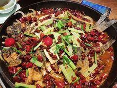 老板恋上鱼-老板恋上鱼(高新万达店)