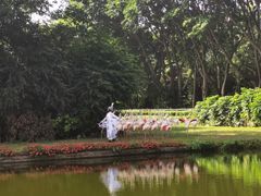-广州长隆飞鸟乐园