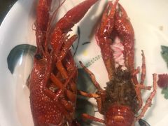 -每食每刻·皖北新民地锅鸡