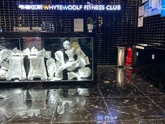 -韦德伍斯健身(沈阳K11Select购物艺术中心店)