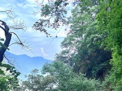 -洛阳白云山景区