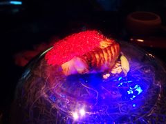 -地球美食剧场