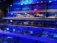 -青蓬蒸汽海鲜·深圳老字号·团建聚会(壹方城店)