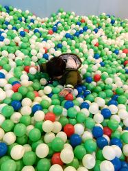 -酷嗒动物文化乐园(cutezoo西溪乐天城店)