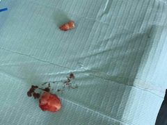 -泰康拜博口腔(柠溪门诊)