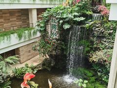 -广州白天鹅宾馆