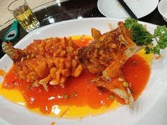-勺园饭店(骨科医院店)