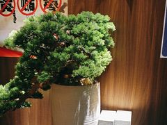 -江南足纪·影院足道·轻奢SPA(笋岗HALO广场店)