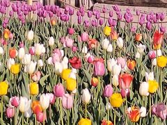 -长春公园(普阳街道)