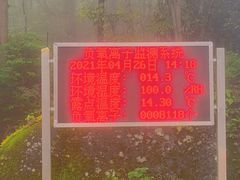 -大围山国家森林公园