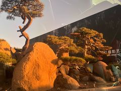 -罗红摄影艺术馆