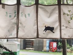 -猫里有甜