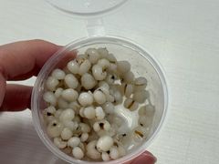 -鲜芋仙(高新万达广场店)