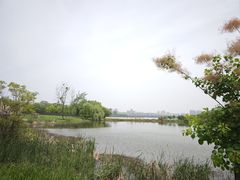 -盘龙城国家考古遗址公园