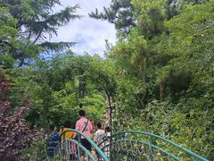 -信号山公园