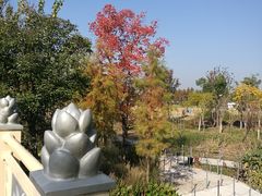 -上海长兴岛郊野公园