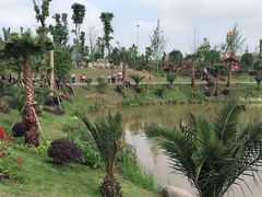 -枫香湖儿童公园