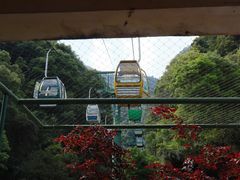 -永泰中国云顶