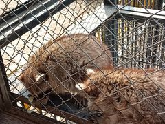 -渭南桃花源民俗文化园