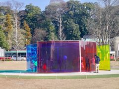 -金泽21世纪美术馆