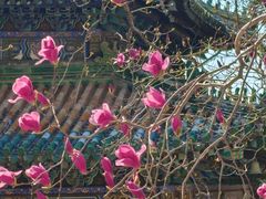 -潭柘寺景区