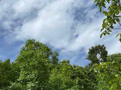 -秦岭终南山世界地质公园翠华山景区