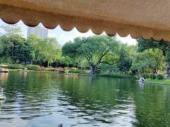 -晓港公园