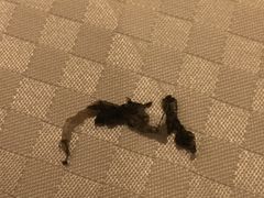 -丁山花园酒店-明园餐厅