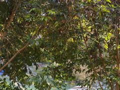 -生态苑农庄(十里画廊遇龙河店)