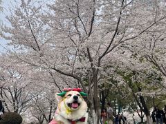 -西北湖绿化广场