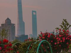 -上海外滩雅致酒店