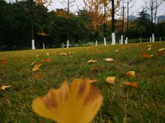 -重庆中央公园(渝北区)