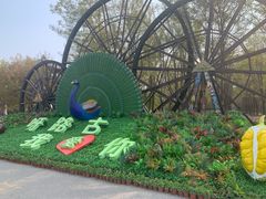-呀路古热带植物园