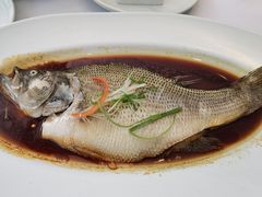 清蒸鲈鱼-汤城小厨•粤菜•靓汤(金宝街店)