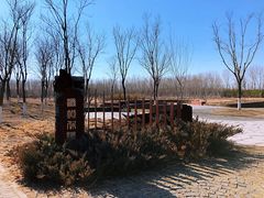 -东郊湿地公园