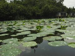 -老木棉·匠园