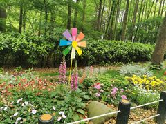 -上海共青森林公园