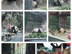 -北京动物园