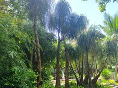 -深圳国际园林花卉博览园