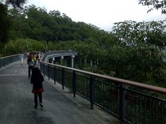 -金鸡山公园