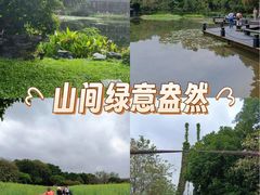 -广州市帽峰山景区