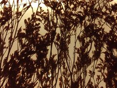 -东方之珠洗浴休闲广场(和平店)